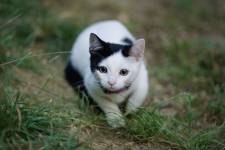 Elie POUYANNE - DIRECTED BY ELIE