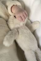 Elie RODET VIDAL - RODET VIDAL ELIE