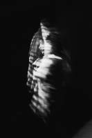 Aubane NESTY - NESTY AUBANE